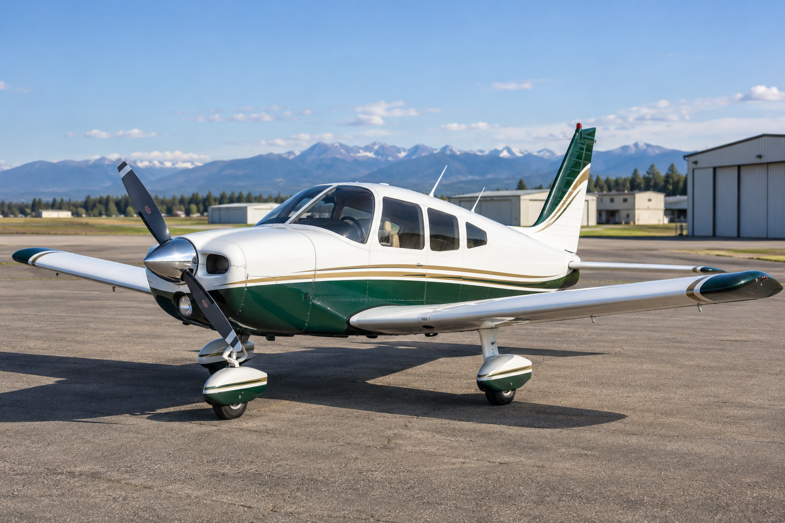 Representative Piper Cherokee aircraft