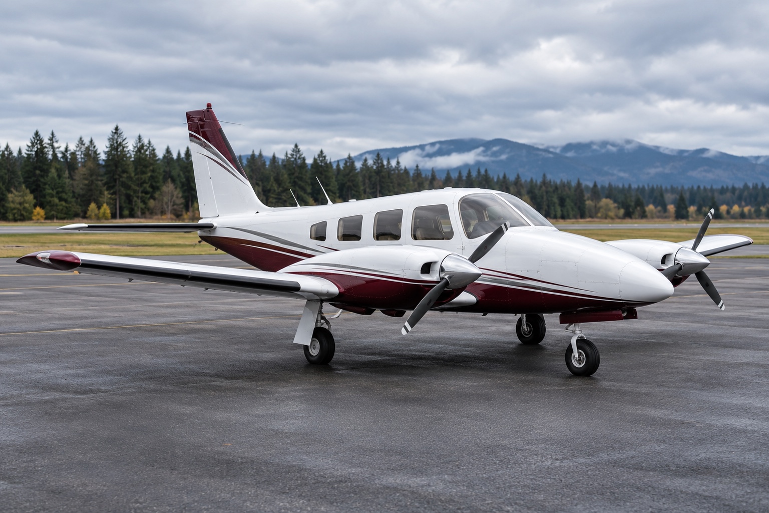 Representative Piper Seneca aircraft